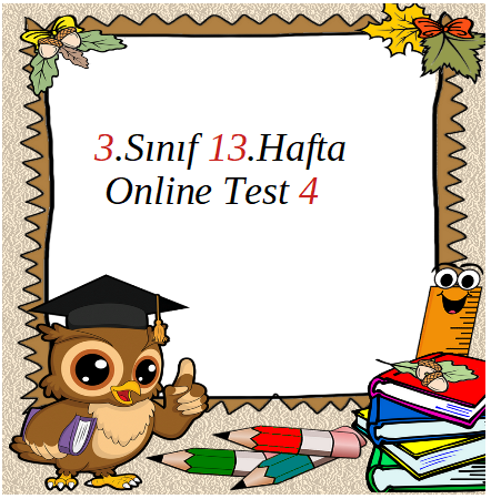 3.Sınıf 13.Hafta Online Test 4 (Fen B._Hayat B.)