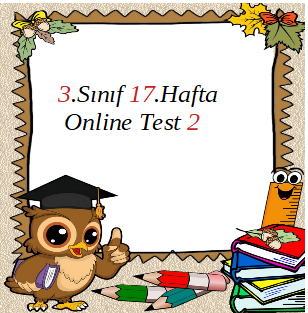 3.Sınıf 17.Hafta Online Test 2 (Hayat B._Fen B.)