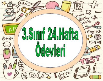 3.Sınıf 24.Hafta Ödevleri