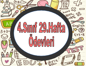 4.Sınıf 29.Hafta Ödevleri