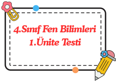 4.Sınıf Fen Bilimleri 1.Ünite Testi